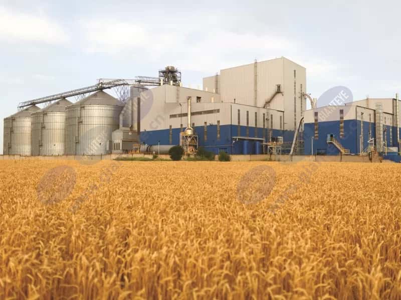 grain_elevator_silos_wheat_field_2008_hi-4-3Mediawithtext.jpg.jpg