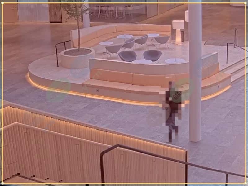 live-privacy-shield-vmd-lobby.jpg.jpg