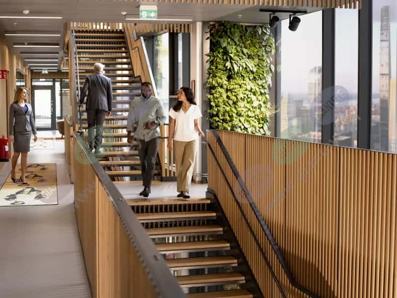 people_office_stairs_2206_hi.jpg.jpg