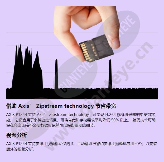 axis-p1244_f_cn-03.jpg