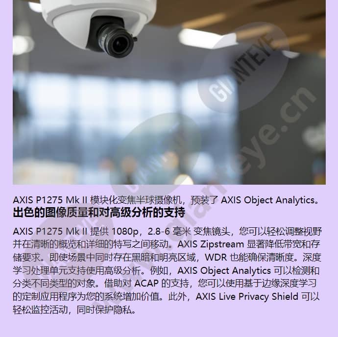 axis-p1275-mk-ii_f_cn-02.jpg