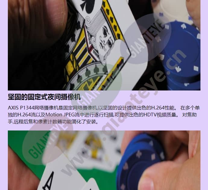 axis-p1344_f_cn-01.jpg