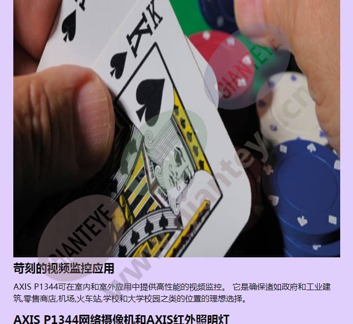 axis-p1344_f_cn-02.jpg