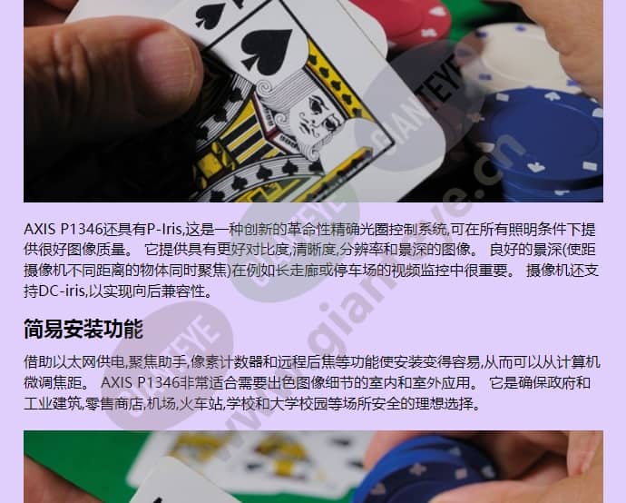 axis-p1346_f_cn-01.jpg