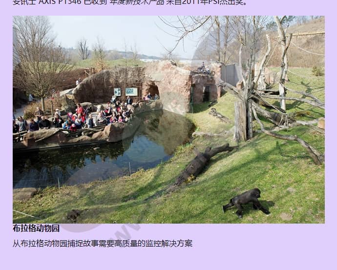 axis-p1346_f_cn-03.jpg