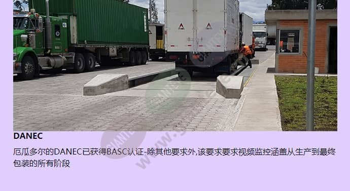 axis-p1354_f_cn-01.jpg