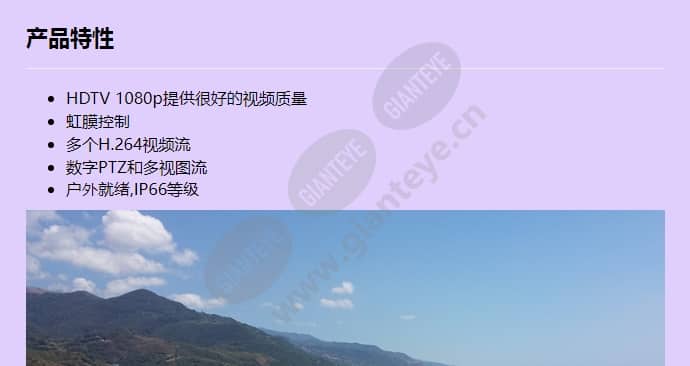 axis-p1355-e_f_cn-00.jpg