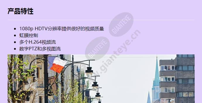axis-p1355_f_cn-00.jpg