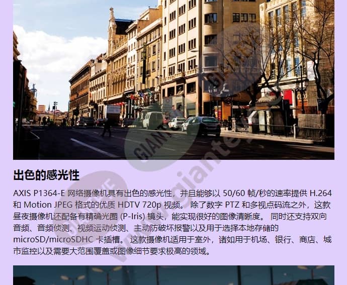 axis-p1364-e_f_cn-01.jpg