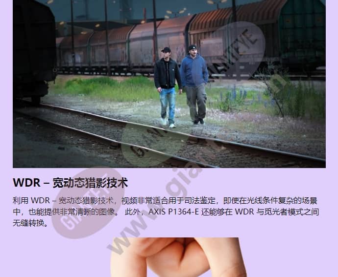 axis-p1364-e_f_cn-02.jpg