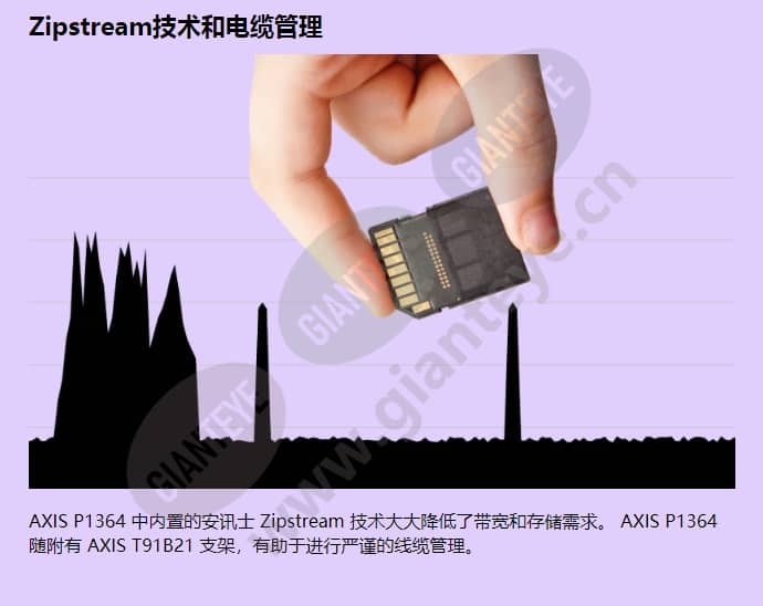 axis-p1364_f_cn-03.jpg