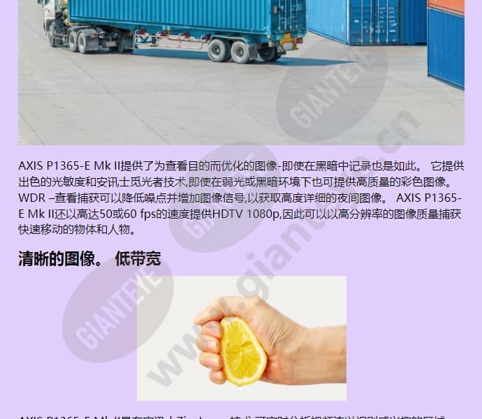 axis-p1365-e_f_cn-02.jpg