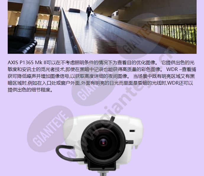axis-p1365_f_cn-01.jpg