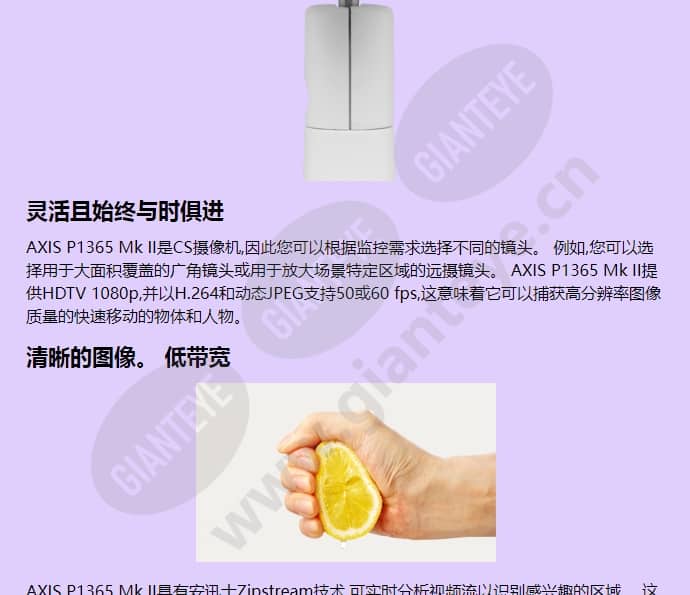 axis-p1365_f_cn-02.jpg