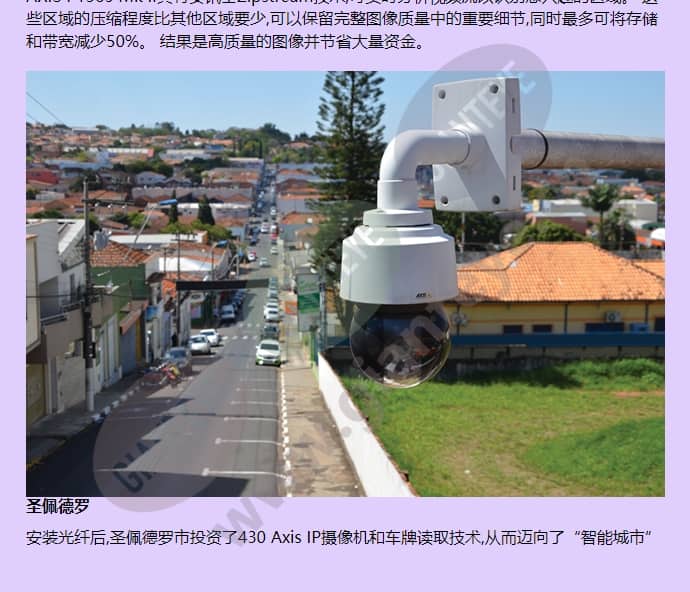axis-p1365_f_cn-03.jpg