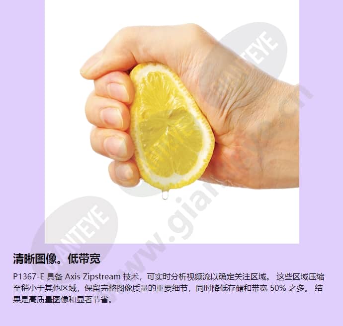 axis-p1367-e_f_cn-01.jpg