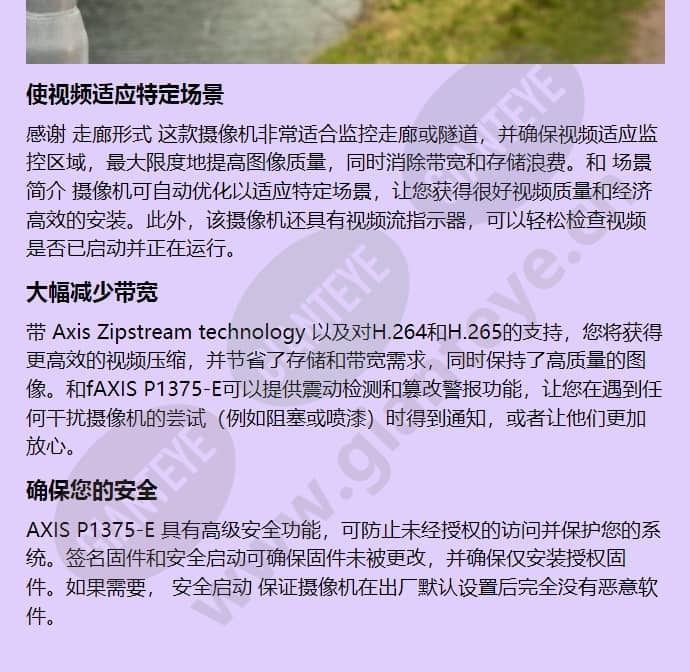 axis-p1375-e_f_cn-02.jpg