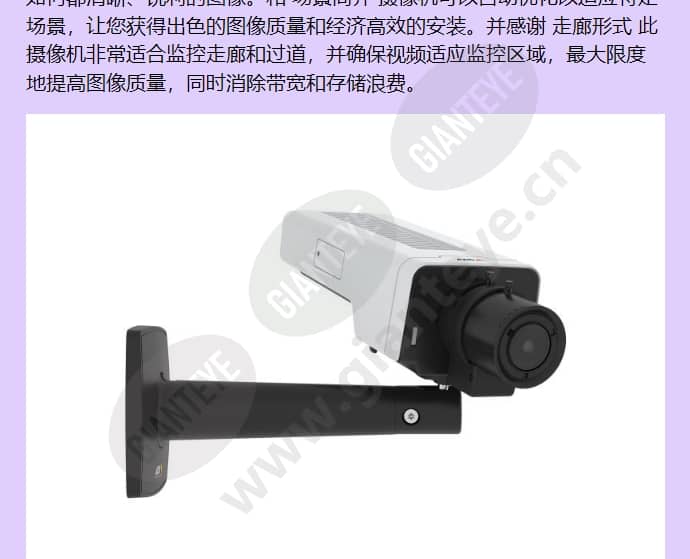 axis-p1375_f_cn-01.jpg