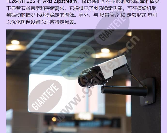axis-p1377_f_cn-01.jpg