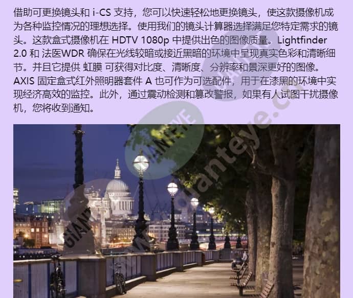 axis-p1385-e_f_cn-02.jpg