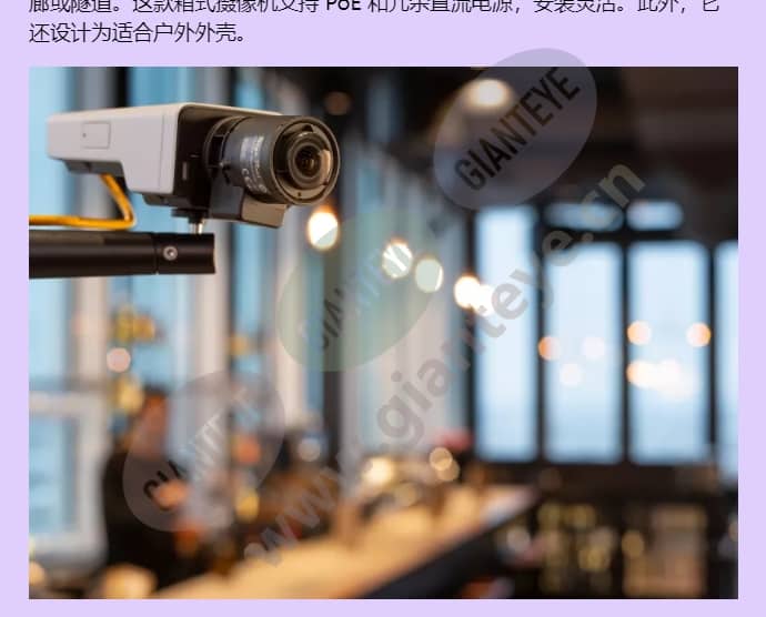 axis-p1385_f_cn-01.jpg