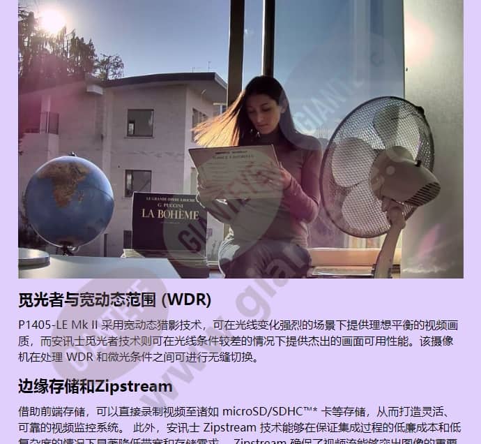axis-p1405-le_f_cn-01.jpg