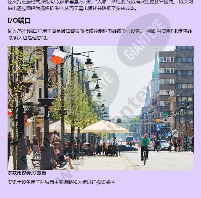 axis-p1427-e_f_cn-01.jpg