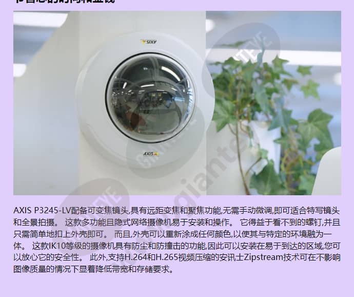 axis-p3245-lv_f_cn-02.jpg