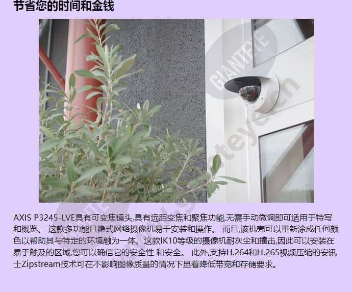 axis-p3245-lve_f_cn-02.jpg