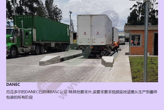 axis-p3346_f_cn-02.jpg