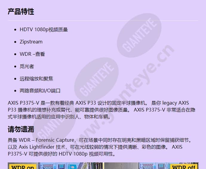 axis-p3375-v_f_cn-00.jpg