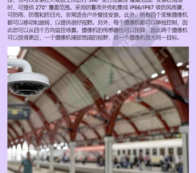 axis-p3735-ple_f_cn-02.jpg