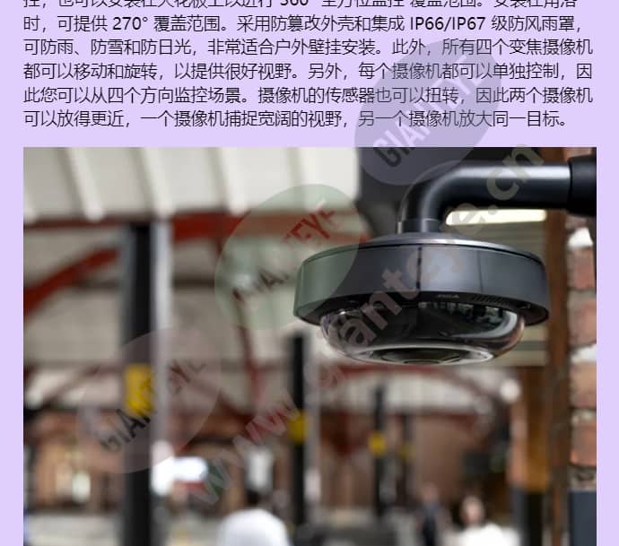 axis-p3737-ple_f_cn-02.jpg