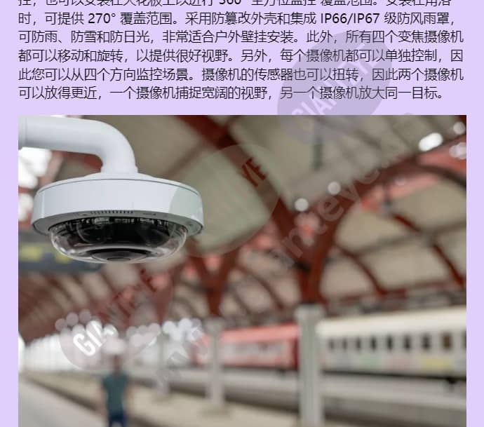 axis-p3738-ple_f_cn-02.jpg