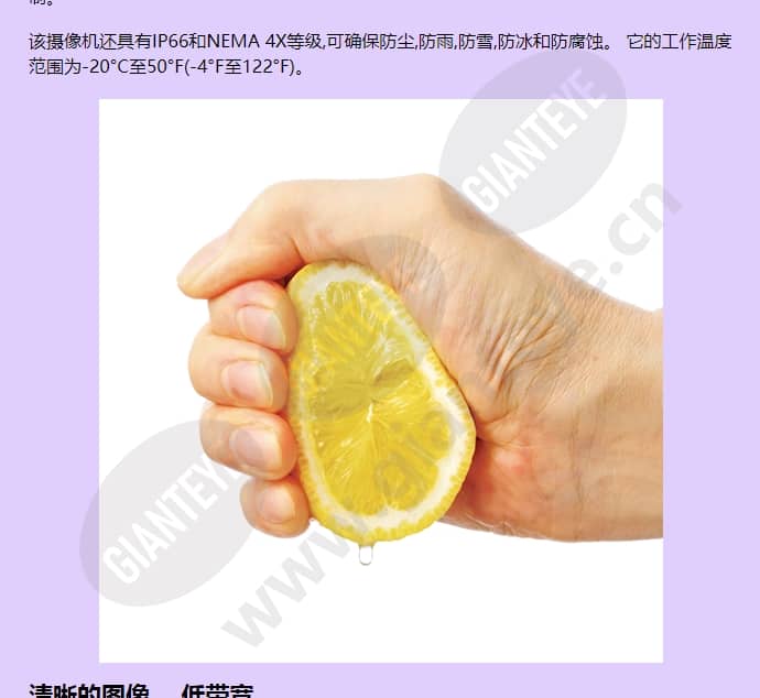 axis-p5514-e_f_cn-03.jpg