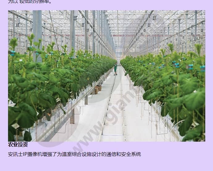 axis-p5534-e_f_cn-02.jpg
