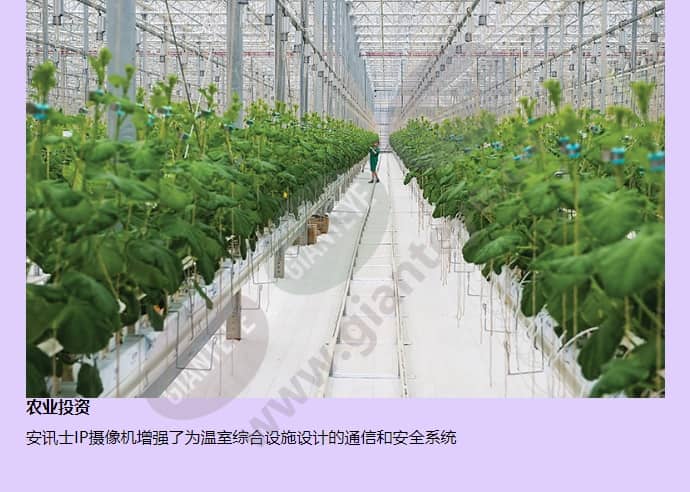 axis-p5534_f_cn-02.jpg