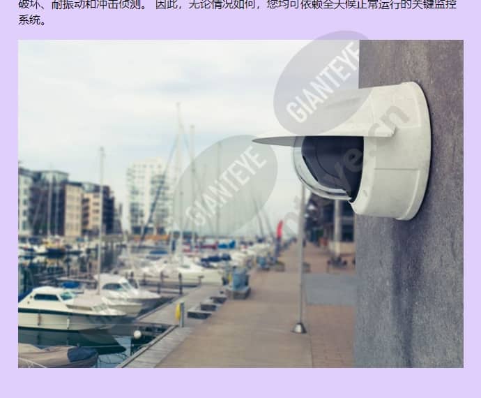 axis-q3615-ve_f_cn-02.jpg