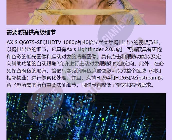 axis-q6075-se_f_cn-03.jpg