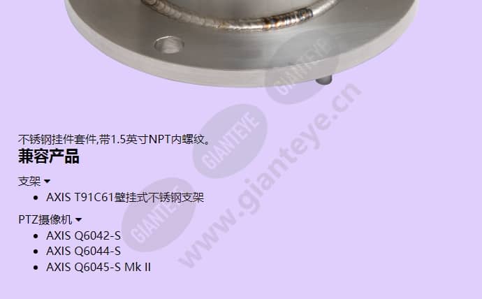 axis-t94s01d-pendant-kit_f_cn-01.jpg