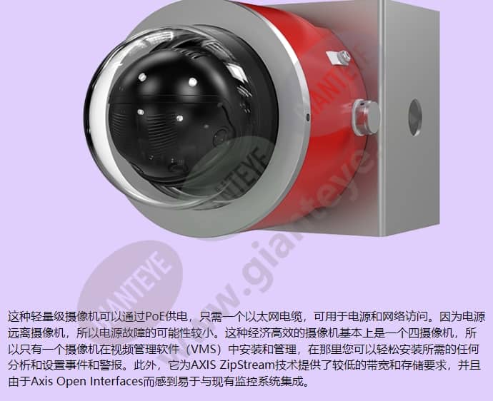 d101-a-xf-p3807_f_cn-03.jpg
