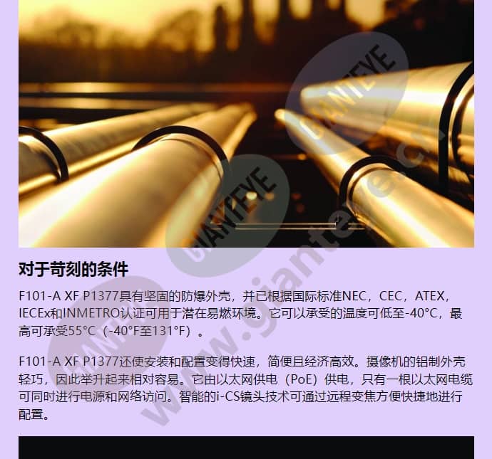 f101-a-xf-p1377_f_cn-02.jpg
