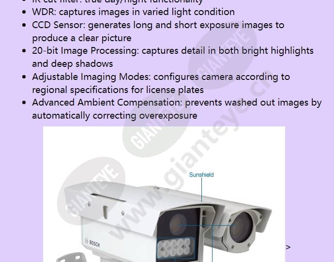 ver-d2r1-2_f_en-02.jpg