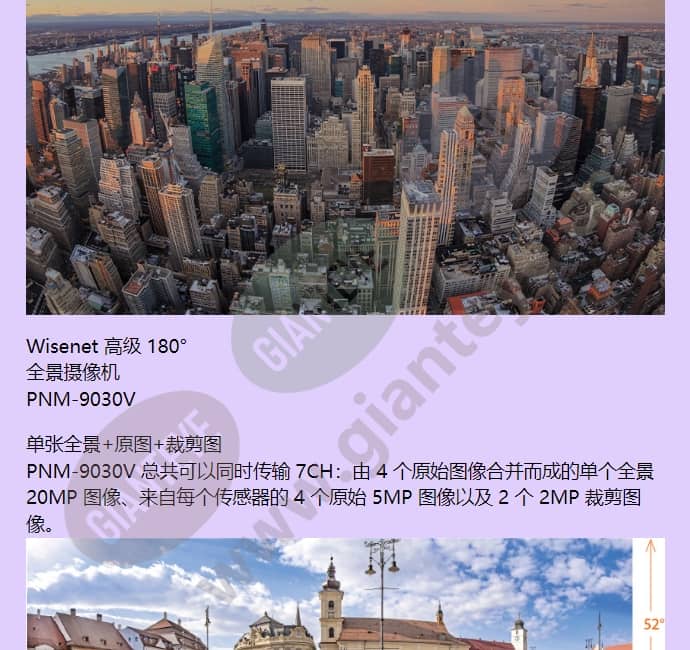 pnm-9030v_f_cn-02.jpg