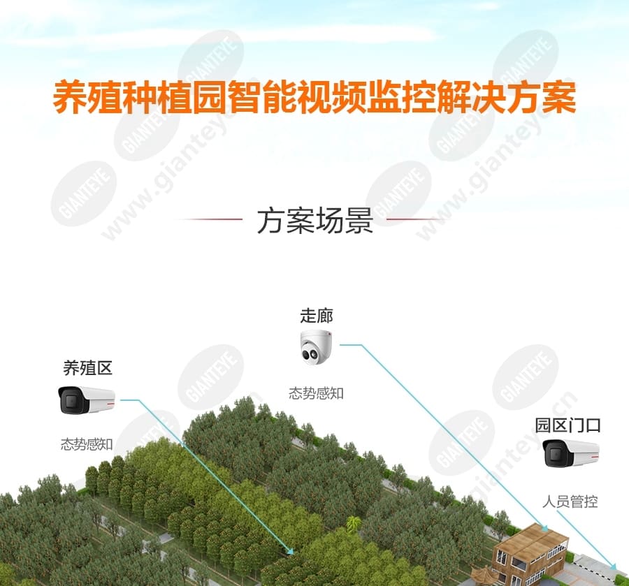 breeding_plantation_f_cn-0.jpg