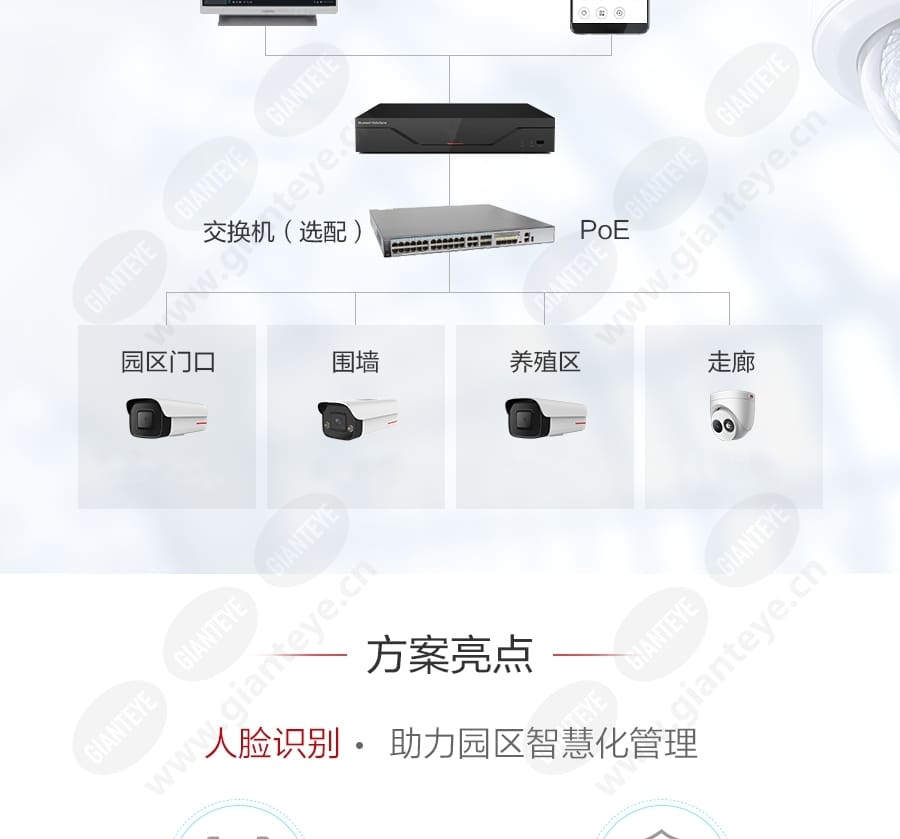 breeding_plantation_f_cn-2.jpg
