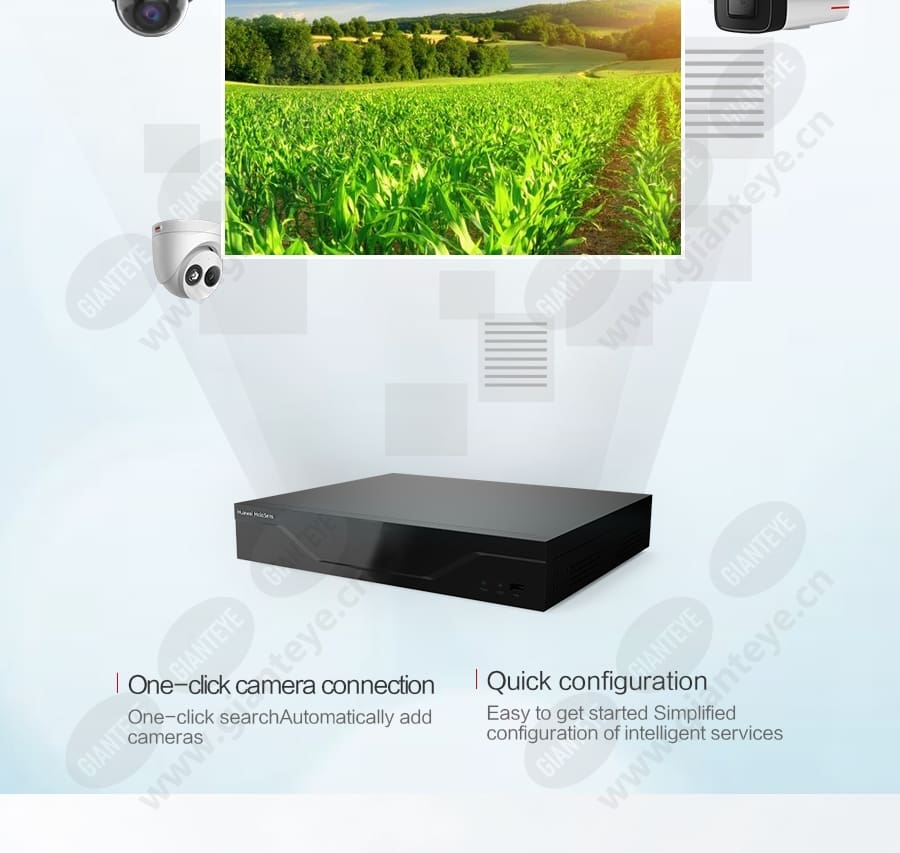 breeding_plantation_f_en-5.jpg