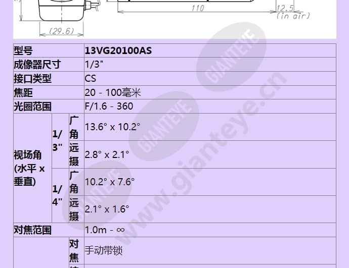 13vg20100as_f_cn-1.jpg