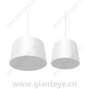 AXIS C15 Network Pendant Speaker Series Overview