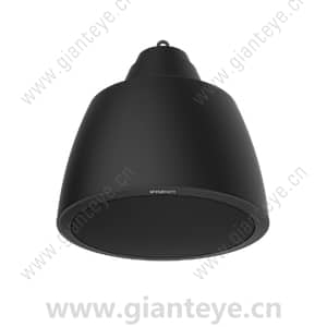 三星韩华 Samsung Hanwha SPA-P100B IP 吊坠扬声器